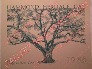 Hammond Heritage Day 1986